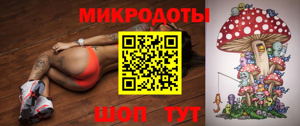 Псилоцибиновые грибы Cubensis Заводоуковск