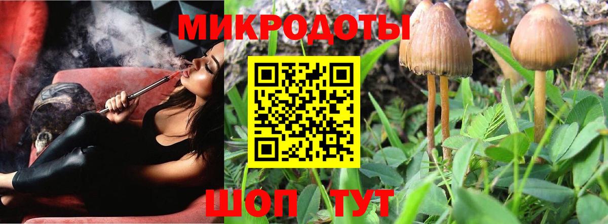 Заводоуковск  Галлюциногенные грибы Magic Shrooms  Вход с VPN 